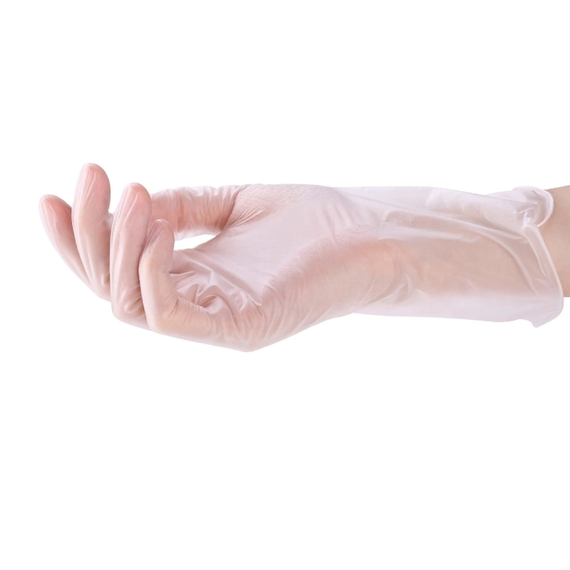 CE FDA SGS Certified Clear Disposable Food Processing Vinyl Glove Powder Free